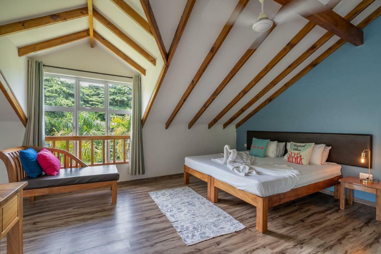 La Modestie Guest House Grand Anse  Eksteriør bilde