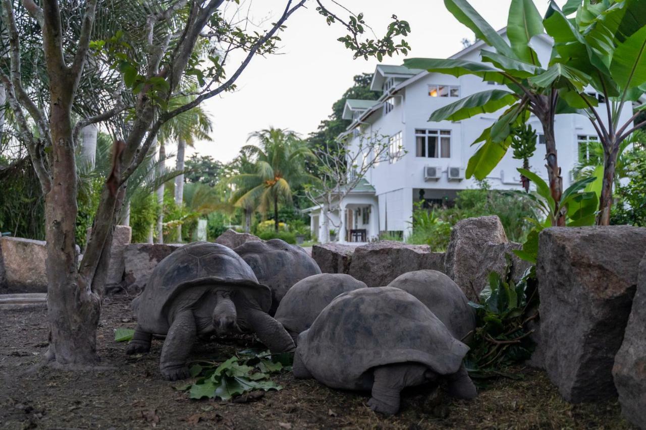 La Modestie Guest House Grand Anse  Eksteriør bilde